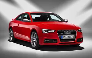   Audi A5 Coupe DTM Champion - 2013