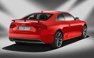  Audi A5 Coupe DTM Champion - 2013