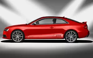   Audi A5 Coupe DTM Champion - 2013