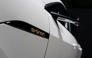   Audi e-tron - 2019