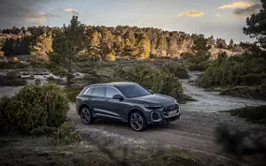   Audi Q5 TFSI quattro S line - 2024