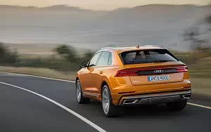   Audi Q8 50 TDI quattro S line - 2018