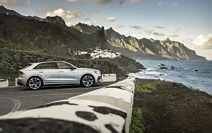  Audi RS Q8 (HN-RS-8007) - 2020