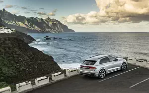   Audi RS Q8 (HN-RS-8007) - 2020