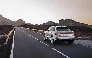   Audi RS Q8 (HN-RS-8010) - 2020
