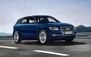   Audi SQ5 TDI - 2012
