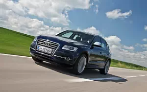   Audi SQ5 TDI - 2012