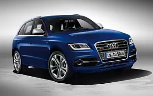   Audi SQ5 TDI - 2012