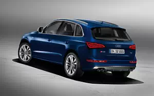   Audi SQ5 TDI - 2012