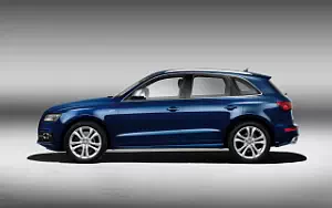   Audi SQ5 TDI - 2012