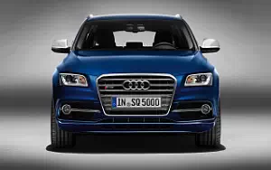   Audi SQ5 TDI - 2012
