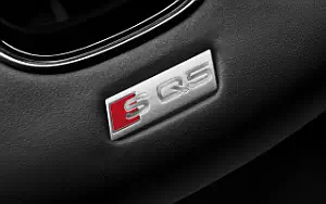   Audi SQ5 TDI - 2012