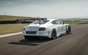   Bentley Continental GT3 - 2013