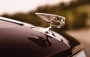   Bentley Flying Spur (Cricket Ball) - 2019