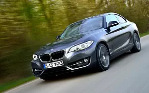   BMW 220i Coupe Sport Line - 2014