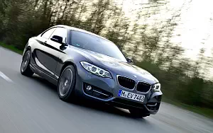   BMW 220i Coupe Sport Line - 2014