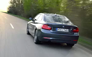   BMW 220i Coupe Sport Line - 2014