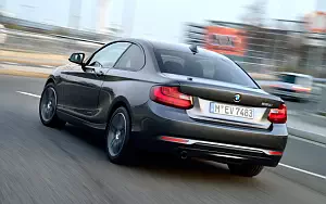   BMW 220i Coupe Sport Line - 2014