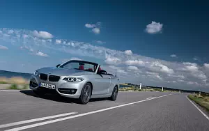   BMW 228i Convertible - 2014