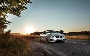   BMW 228i Convertible - 2014