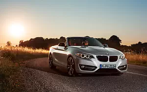   BMW 228i Convertible - 2014