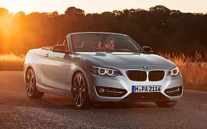   BMW 228i Convertible - 2014