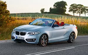   BMW 228i Convertible - 2014