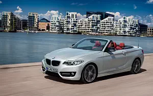   BMW 228i Convertible - 2014