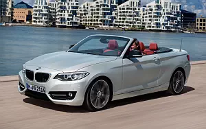   BMW 228i Convertible - 2014