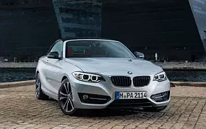   BMW 228i Convertible - 2014