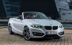   BMW 228i Convertible - 2014