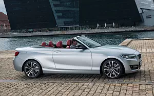   BMW 228i Convertible - 2014