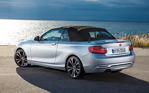   BMW 228i Convertible - 2014
