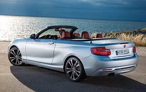   BMW 228i Convertible - 2014