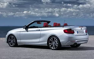   BMW 228i Convertible - 2014