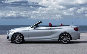   BMW 228i Convertible - 2014