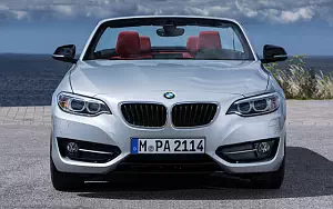   BMW 228i Convertible - 2014