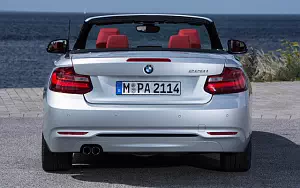   BMW 228i Convertible - 2014