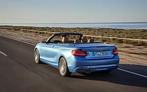   BMW 230i Convertible Luxury Line - 2017
