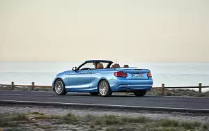   BMW 230i Convertible Luxury Line - 2017