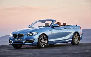   BMW 230i Convertible Luxury Line - 2017