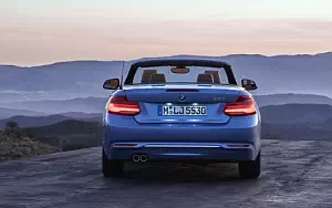  BMW 230i Convertible Luxury Line - 2017
