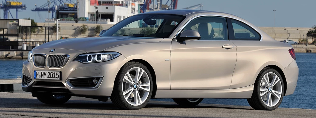   BMW 220d Coupe Modern Line - 2013 - Car wallpapers