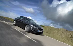   BMW 420d Coupe Sport Line - 2013