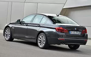   BMW 518d Luxury Line - 2014