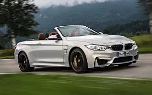   BMW M4 Convertible Individual - 2014