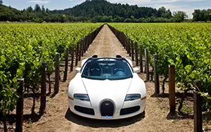   Bugatti Veyron Grand Sport Roadster US-spec - 2009