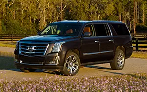   Cadillac Escalade ESV - 2014