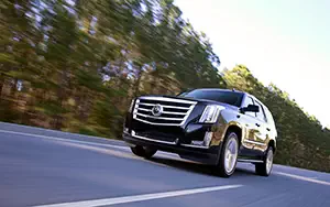   Cadillac Escalade - 2014