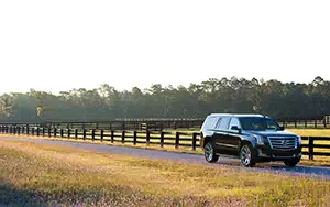   Cadillac Escalade - 2014